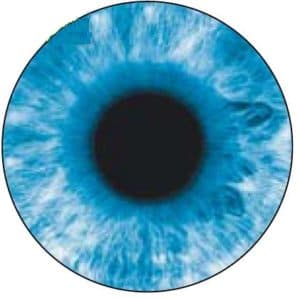 VisionHT 1